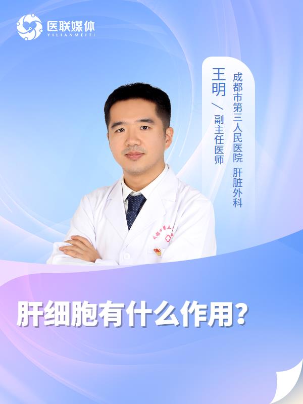 肝细胞有什么作用？