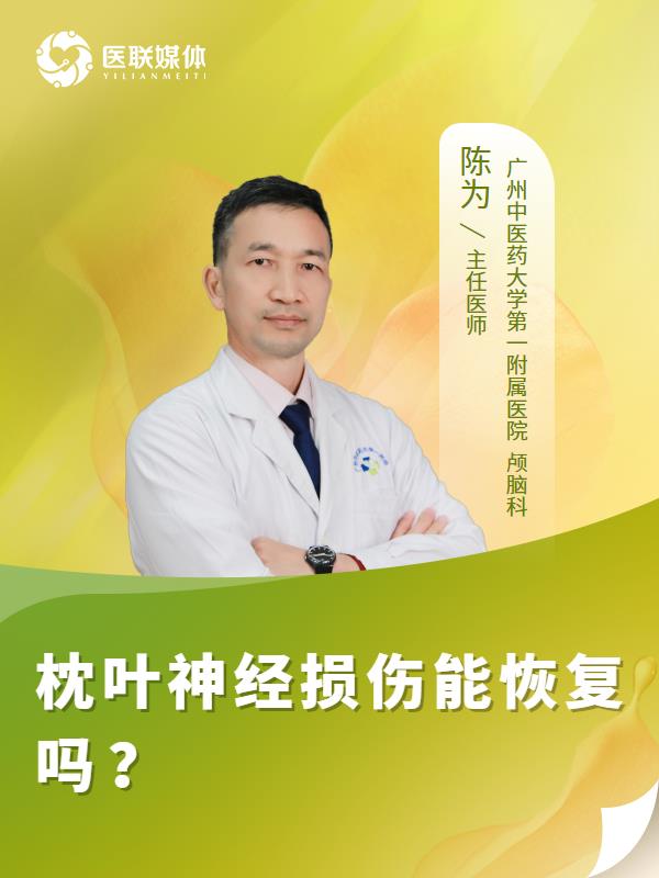 枕叶神经损伤能恢复吗 ？