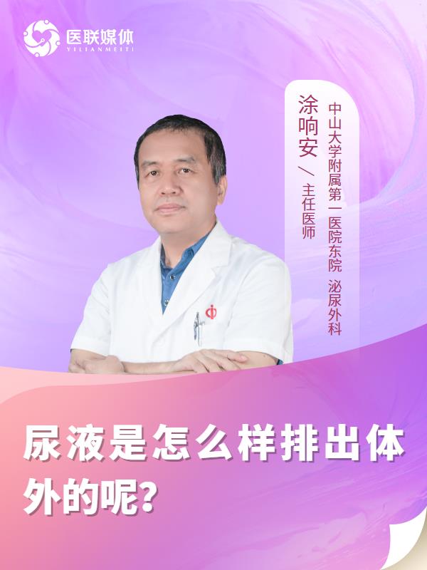 尿液是怎么样排出体外的呢？