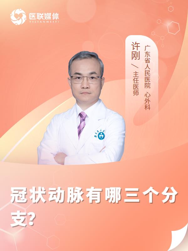 冠状动脉有哪三个分支？