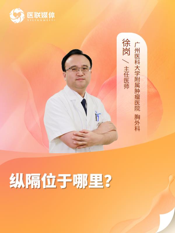 纵隔位于哪里？