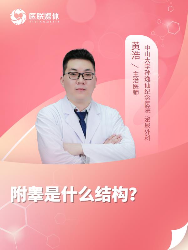附睾是什么结构？