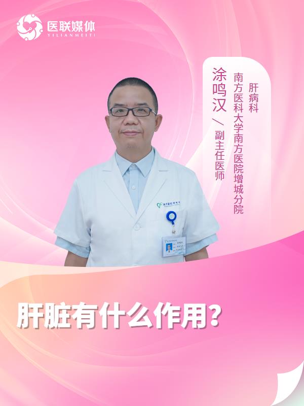 肝脏有什么作用？