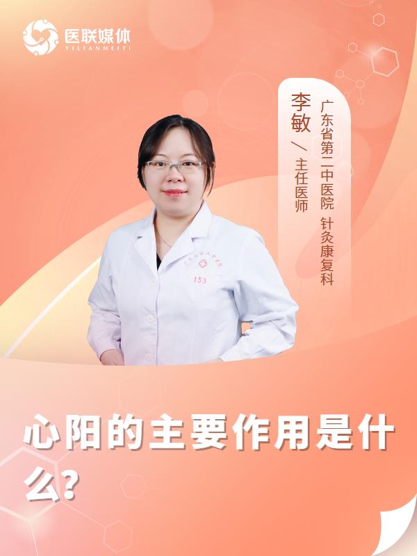 心阳的主要作用是什么？