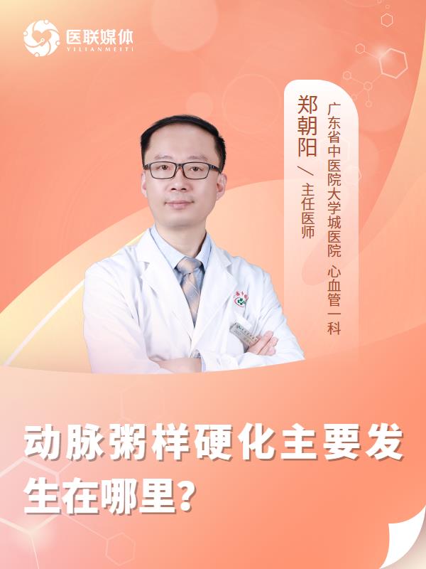 动脉粥样硬化主要发生在哪里？