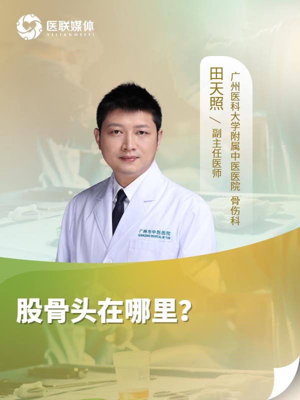 股骨头在哪里？