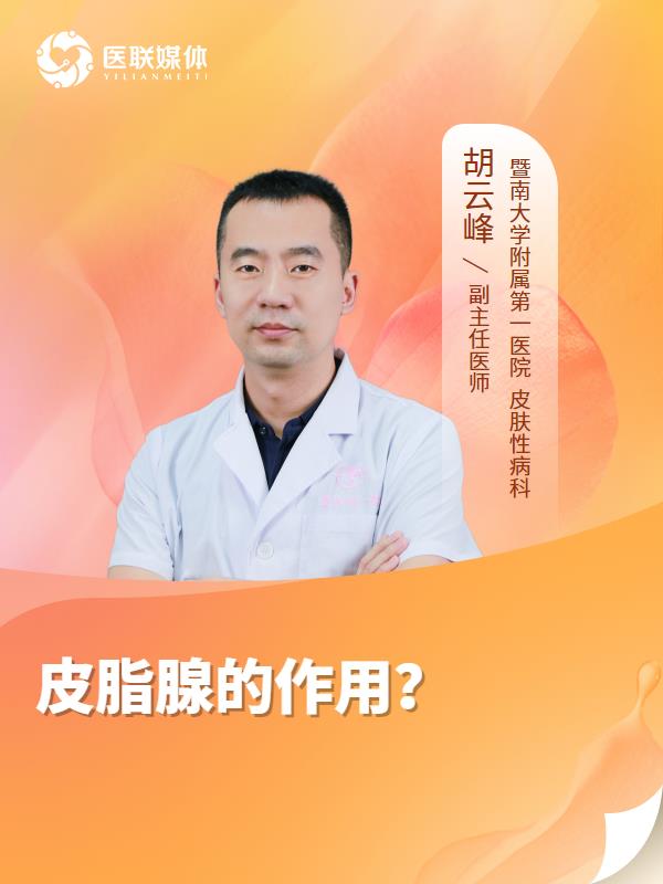 皮脂腺的作用？