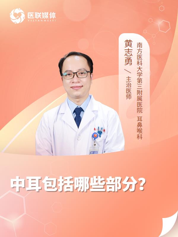 中耳包括哪些部分？