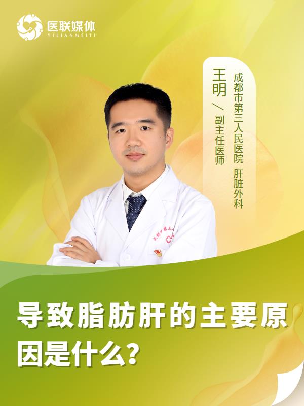 导致脂肪肝的主要原因是什么？