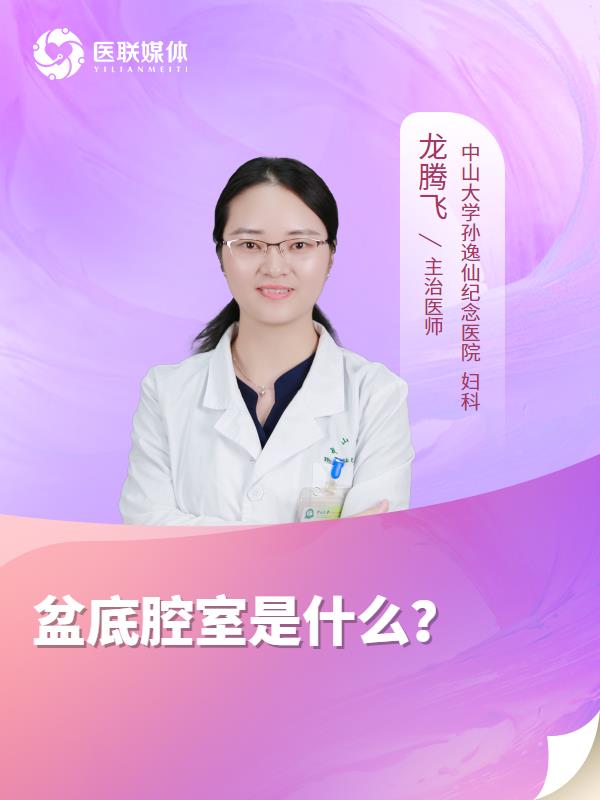 盆底腔室是什么？