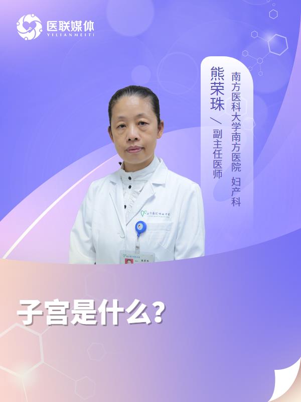 子宫是什么？