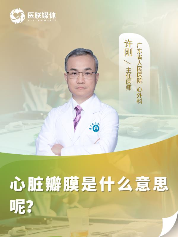 心脏瓣膜是什么意思呢？