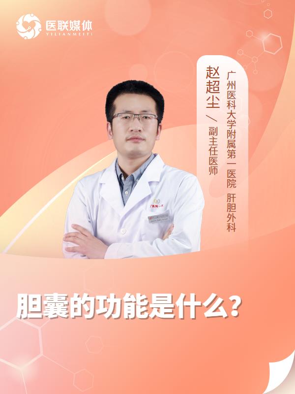 胆囊的功能是什么？
