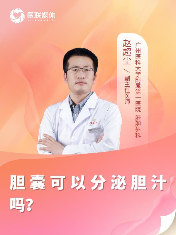 胆囊可以分泌胆汁吗？