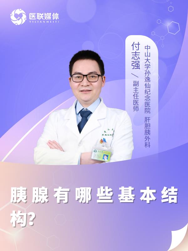 胰腺有哪些基本结构？