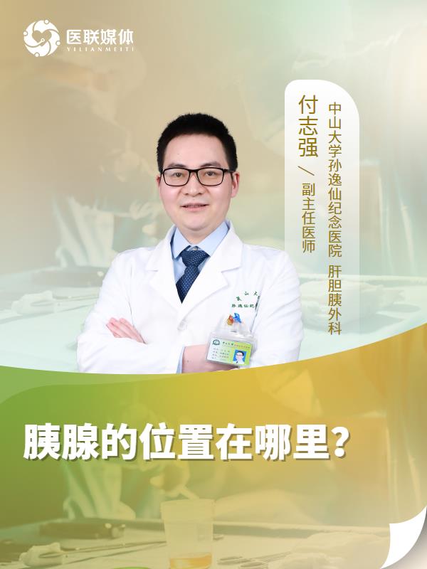 胰腺的位置在哪里？