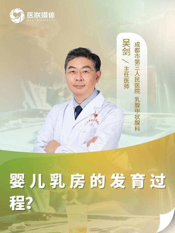 婴儿乳房的发育过程？