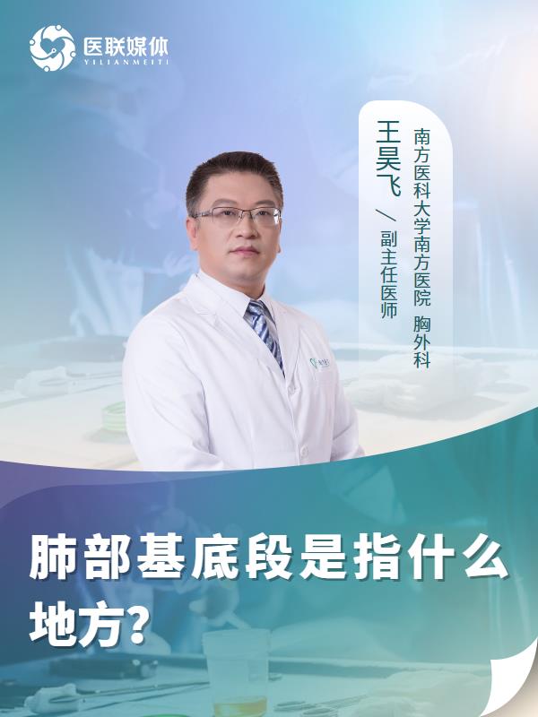 肺部基底段是指什么地方？