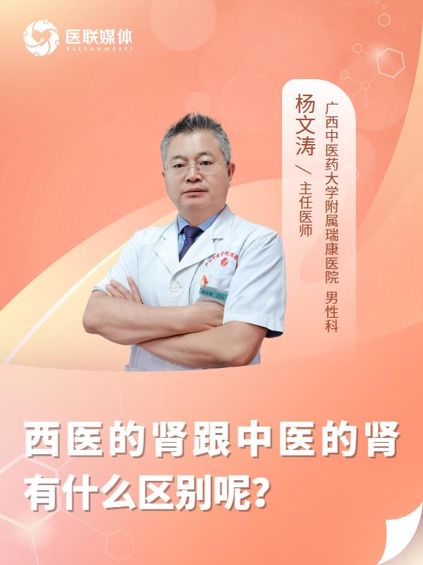 西医的肾跟中医的肾有什么区别呢？
