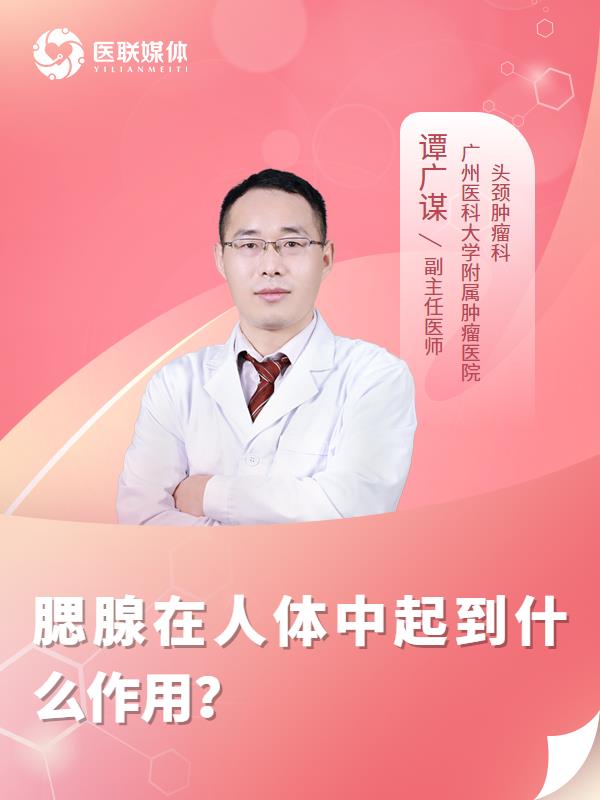 腮腺在人体中起到什么作用？