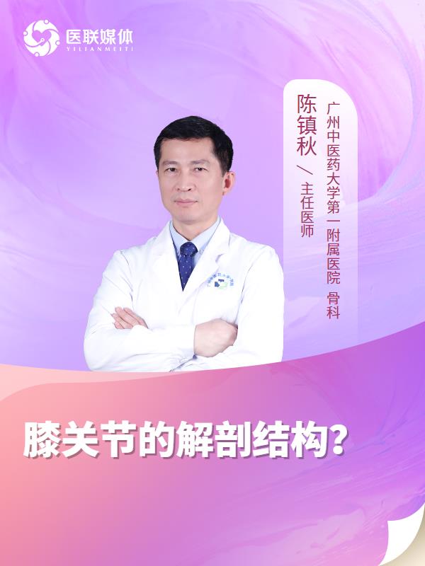 膝关节的解剖结构？