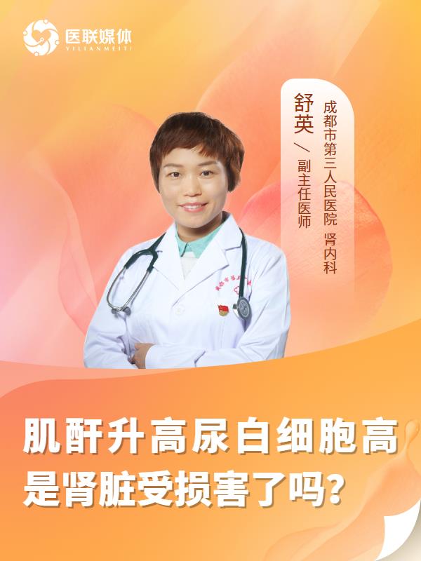 肌酐升高尿白细胞高是肾脏受损害了吗？