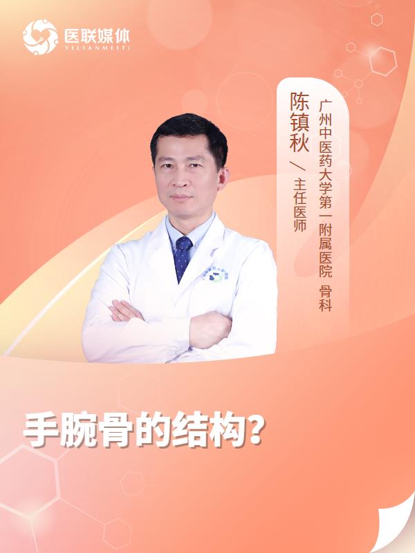 手腕骨的结构？