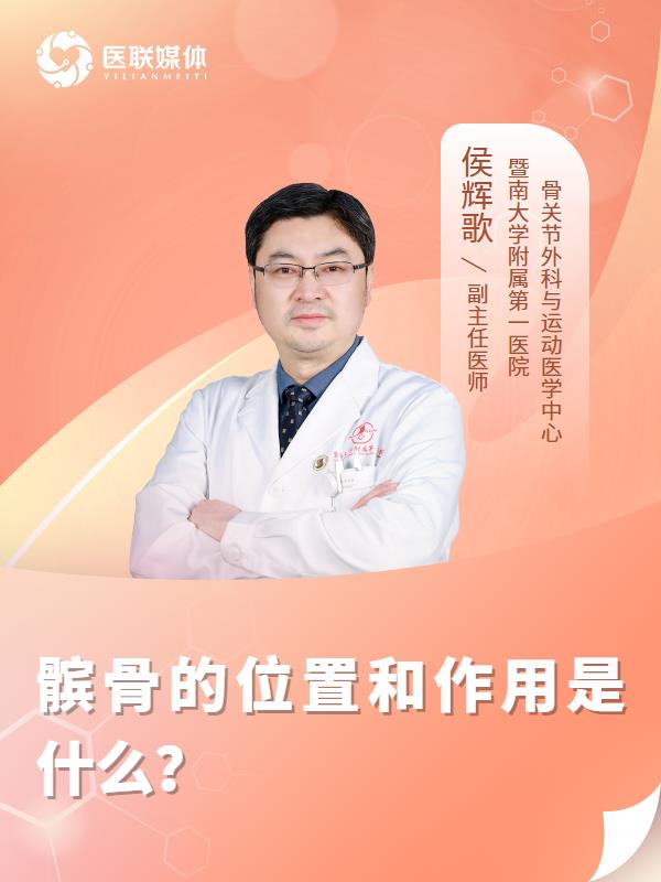 髌骨的位置和作用是什么？