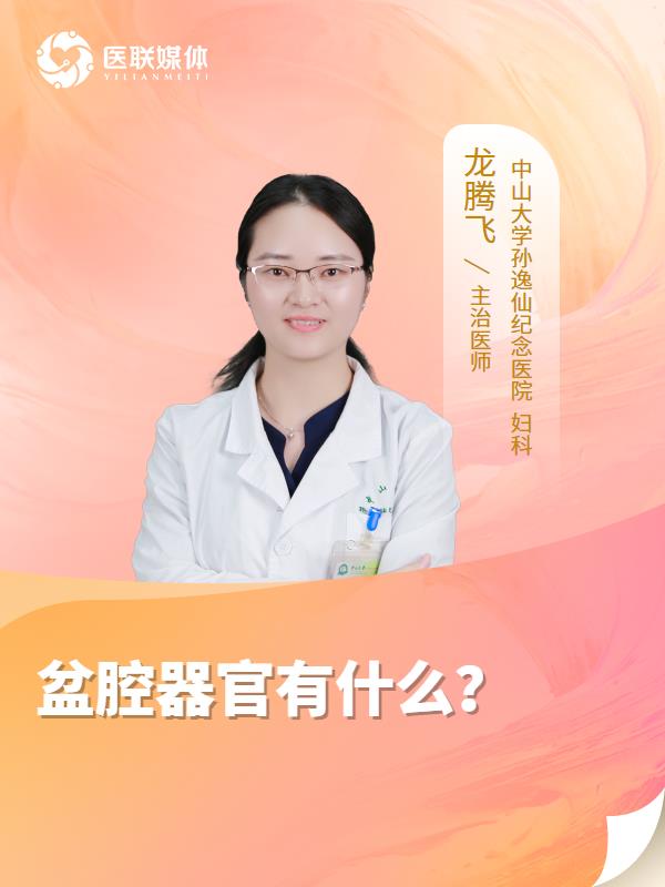 盆腔器官有什么？