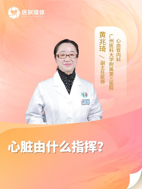 心脏由什么指挥？