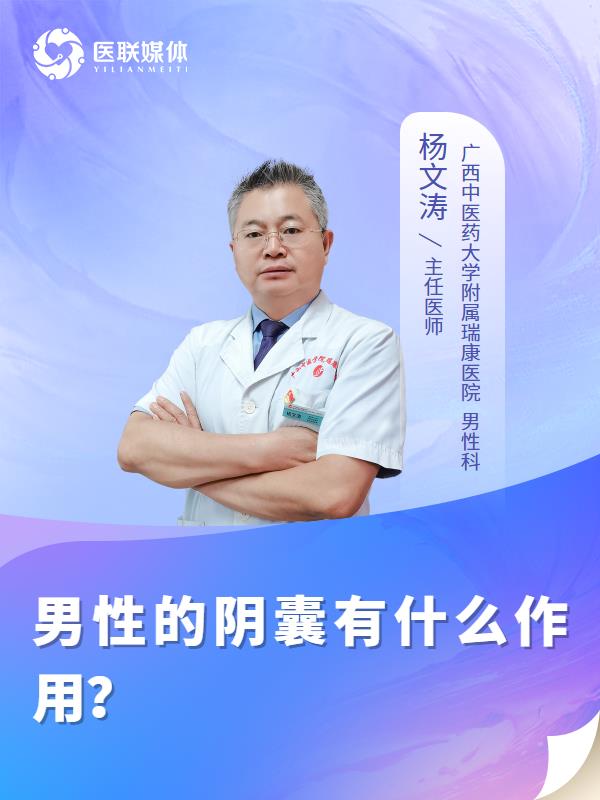 男性的阴囊有什么作用？