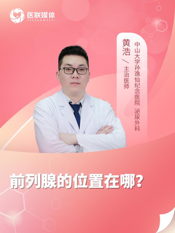 前列腺的位置在哪？