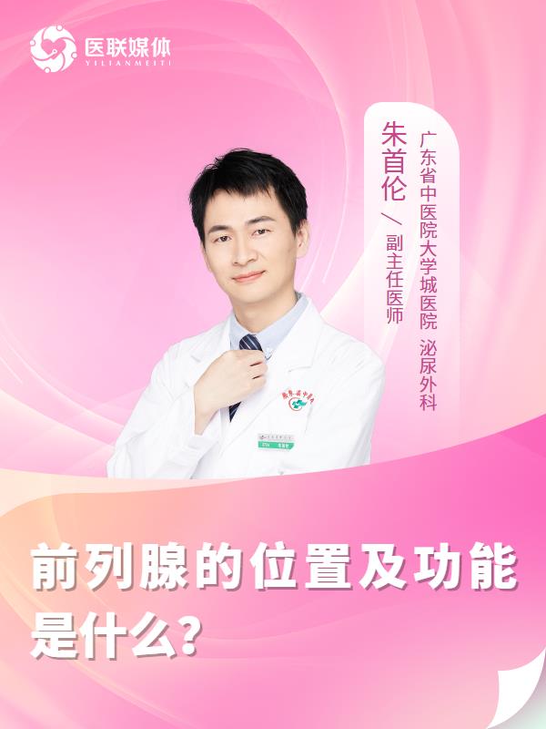 前列腺的位置及功能是什么？