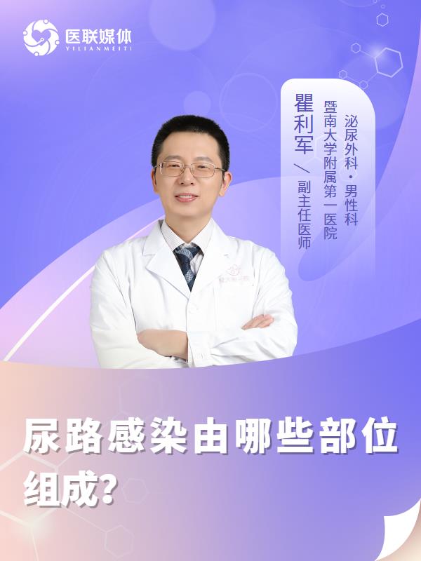 尿路感染由哪些部位组成？