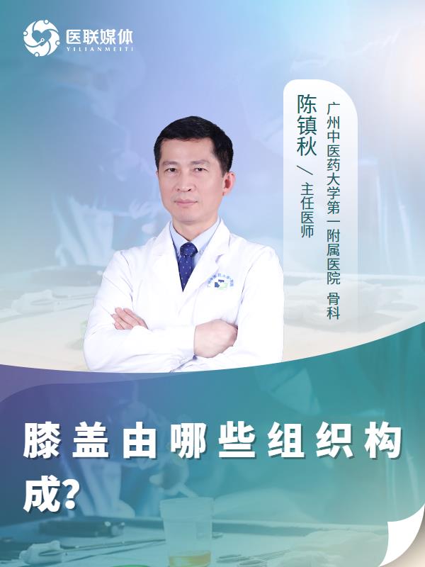 膝盖由哪些组织构成？