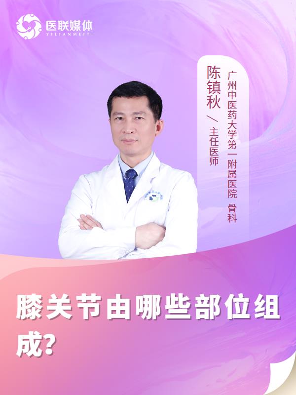 膝关节由哪些部位组成？