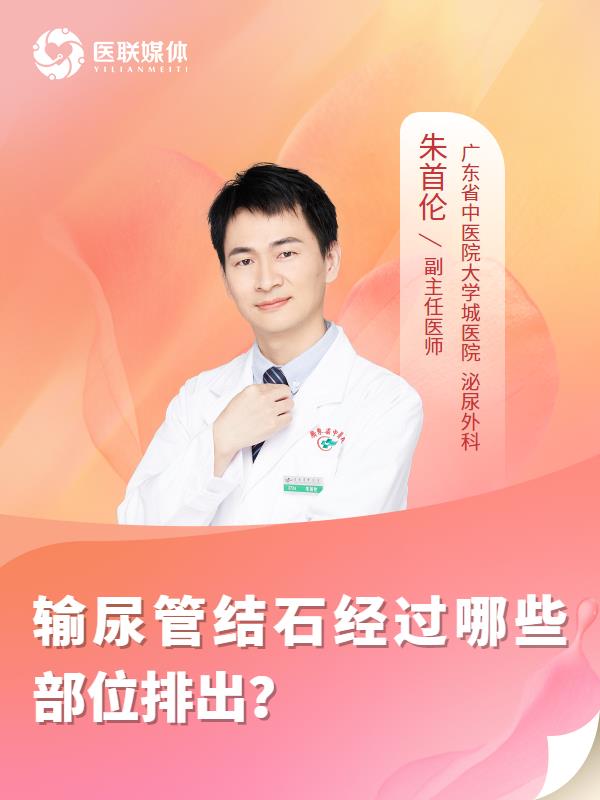 输尿管结石经过哪些部位排出？