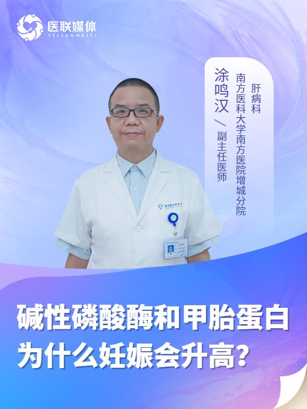 碱性磷酸酶和甲胎蛋白为什么妊娠会升高？